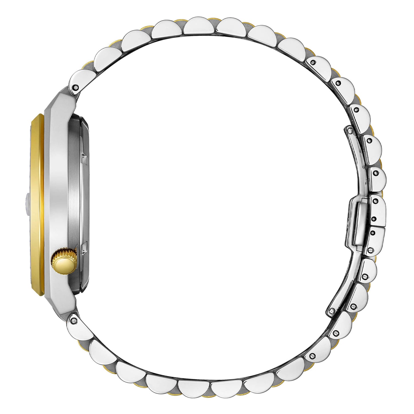 Citizen Tsuyosa 60 bicolore